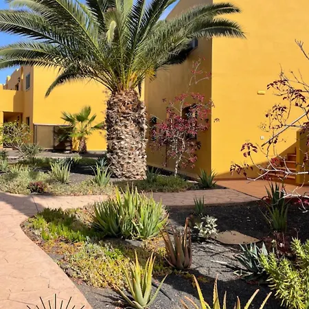Sun House Lägenhet Corralejo